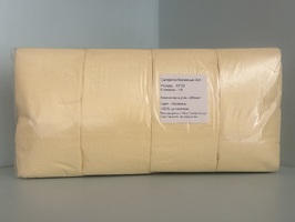 Салфетки Шампань БИГ ПАК 33x33 2 слой 200шт